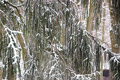 Настоящая зима пришла в Беларусь