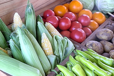 КФХ Столинского района используют пеллеты для производства плодоовощной продукции