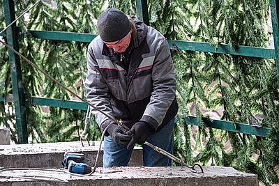 Выше девятиэтажного дома. В Могилеве монтируют главную новогоднюю елку региона