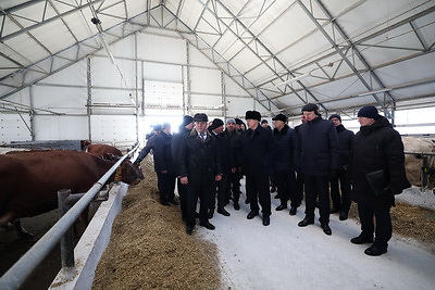 Лукашенко совершил рабочую поездку в Смолевичский район