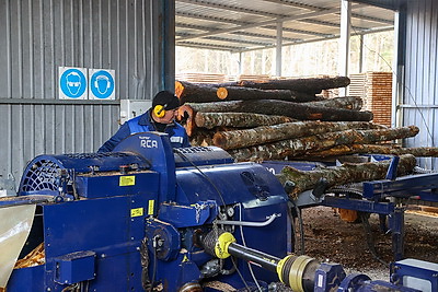 Производства по выпуску поддонов намерены наладить в Дрогичинском и Лунинецком лесхозах