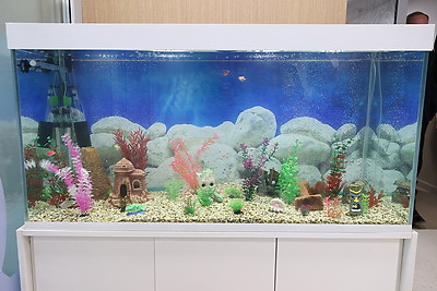 В новом жилом комплексе \"Северный Берег\" открылся первый детский сад