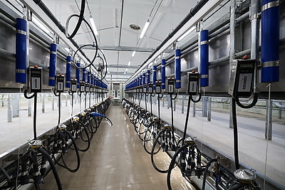 Новый МТК на 800 коров ввели в строй в Клецком районе