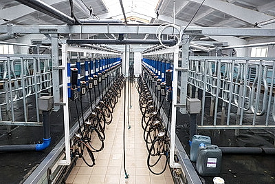 Серьезная перезагрузка отрасли: девять новых МТК появилось в Могилевской области в 2025 году