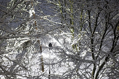 Настоящая зима пришла в Беларусь