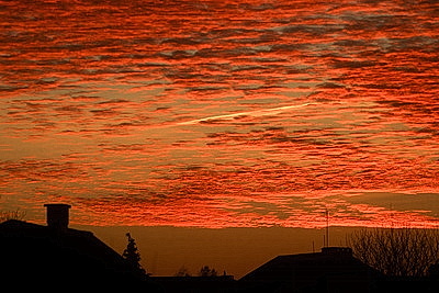 ФОТОХРОНИКА начинает новый информационный день