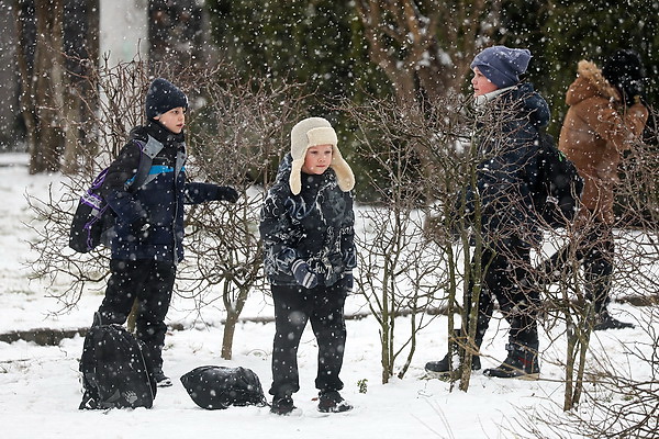 Первый снег. Детские забавы