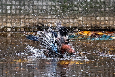 ФОТОХРОНИКА начинает новый информационный день