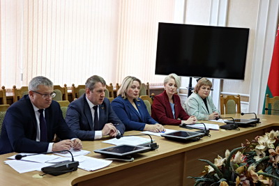 В Палате представителей обсудили корректировку закона об энергосбережении