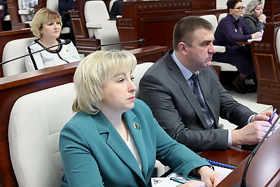 Развитие электроэнергетики и газификации населенных пунктов обсуждают в Палате представителей