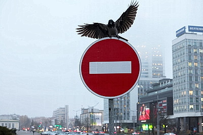 ФОТОХРОНИКА начинает новый информационный день