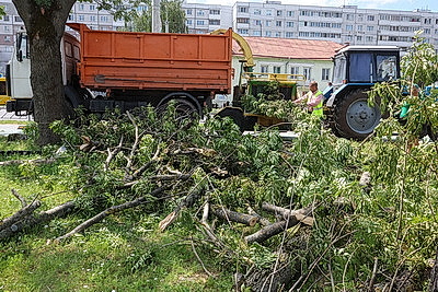 На благо города и людей: около 20 тыс. человек вышли на уборку последствий непогоды в Могилеве