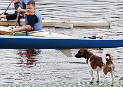 Более 300 детей занимаются в Полоцком областном центре олимпийского резерва по гребным видам спорта