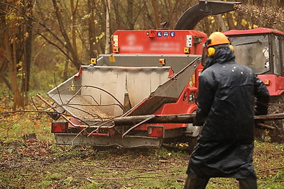 Республиканский субботник проходит в Минске