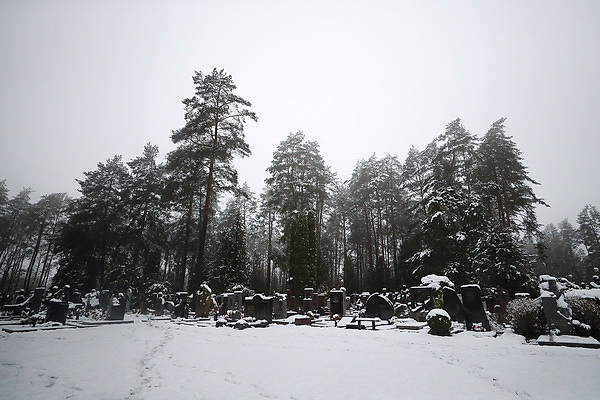 Память Владимира Короткевича почтили на Восточном кладбище в Минске