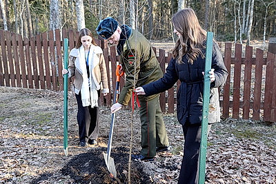 Участники \"Молодежной столицы-2025\" посадили у мемориала \"Партизанская криничка\" 80 берез