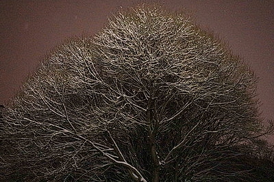 Настоящая зима пришла в Беларусь