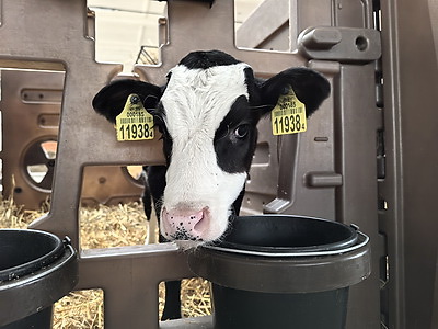 Республиканский форум сельской молодежи стартовал в Столинском районе