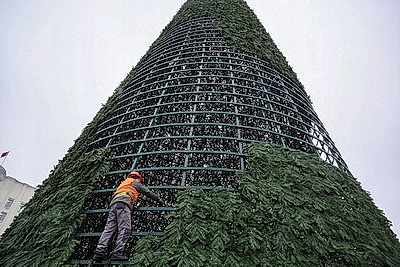 Выше девятиэтажного дома. В Могилеве монтируют главную новогоднюю елку региона