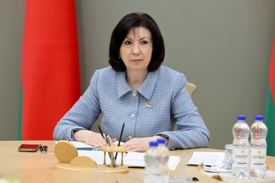 Законопроект о признании квалификации обсуждается на Экспертном совете при Совете Республики