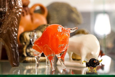 Музей с уникальной коллекцией зубров появился в Бресте