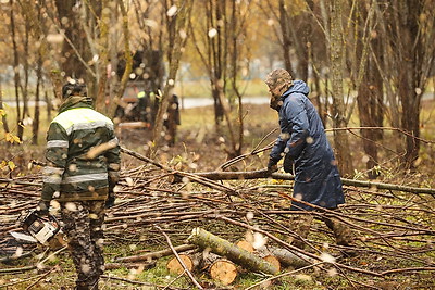 Республиканский субботник проходит в Минске