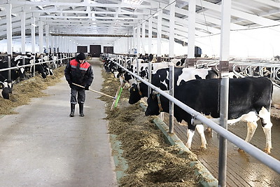 Новый молочно-товарный комплекс открыли в Клецком районе