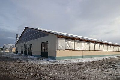 Обновленный молочно-товарный комплекс с уникальными конструкциями введен в строй в Петриковском районе