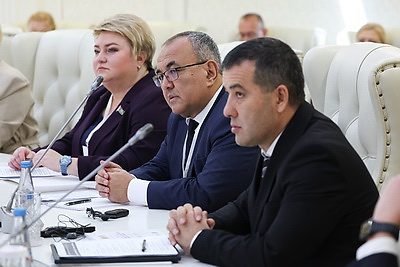 Сукало: белорусский опыт урегулирования неплатежеспособности интересен другим странам