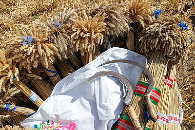 Областные \"Зажинки\" провели в Мозырском районе на щедрый урожай