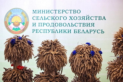 Министр сельского хозяйства о завершении уборочной кампании