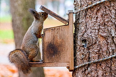 ФОТОХРОНИКА начинает новый информационный день