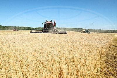 Аграрии Гродненского района приступили к жатве