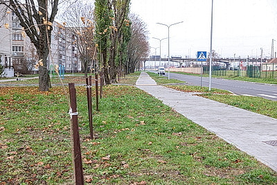 Ход работ по благоустройству объектов проинспектировали в Бресте