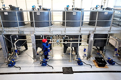 В Глубоком изготавливают масла премиум-класса, не уступающие зарубежным аналогам