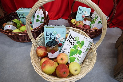 Предприятие по производству соков прямого отжима открылось в Шарковщине