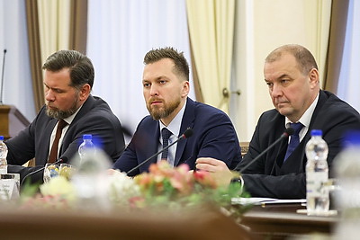 Здравоохранение, культура, бизнес. Петкевич встретилась с почетным консулом Беларуси в Швейцарии