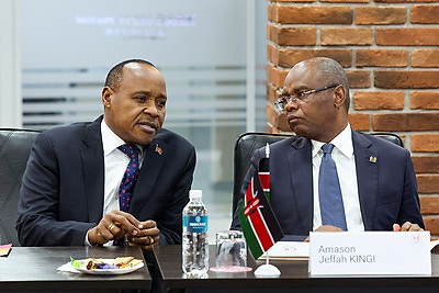 IT-сектор и инновационные решения. Делегации Кении презентовали потенциал ПВТ