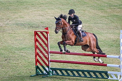 Чемпионат Беларуси по преодолению препятствий завершился в Ратомке