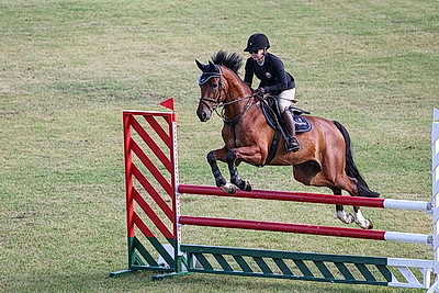 Чемпионат Беларуси по преодолению препятствий завершился в Ратомке