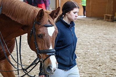 В Могилевском районе прошла международная выставка-шоу породистых лошадей \"Осень-2025\"