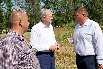 Уборочная, перспективы развития региона. Сергеенко с рабочей поездкой посетил Витебскую область