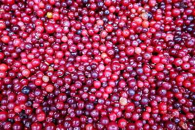 Единственное в Беларуси производство. Как в Глубоком изготавливают клюкву в сахарной пудре?