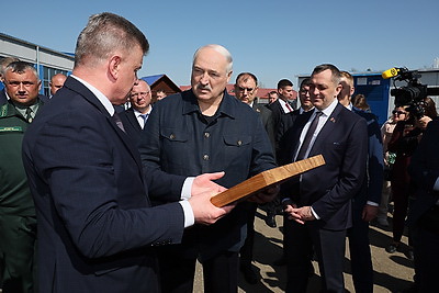 Лукашенко во время рабочей поездки в Витебскую область посетил Оршанский лесхоз