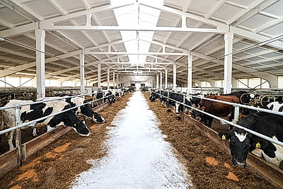 Рейдовая группа проверила предприятия АПК Лиозненского района