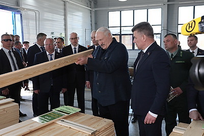 Лукашенко во время рабочей поездки в Витебскую область посетил Оршанский лесхоз
