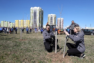 Аллея Памяти героев Великой Победы появилась в молодом микрорайоне Гродно