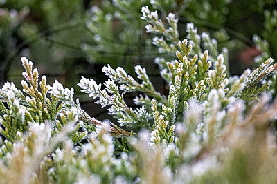 ФОТОХРОНИКА начинает новый информационный день