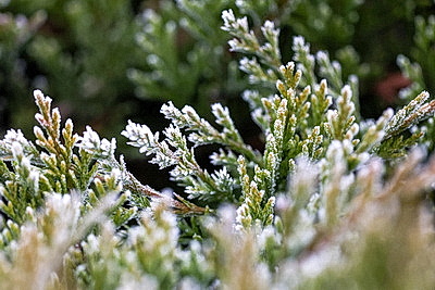 ФОТОХРОНИКА начинает новый информационный день