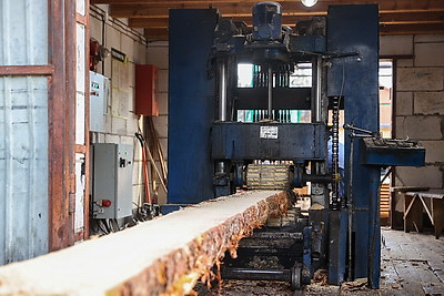 Производства по выпуску поддонов намерены наладить в Дрогичинском и Лунинецком лесхозах